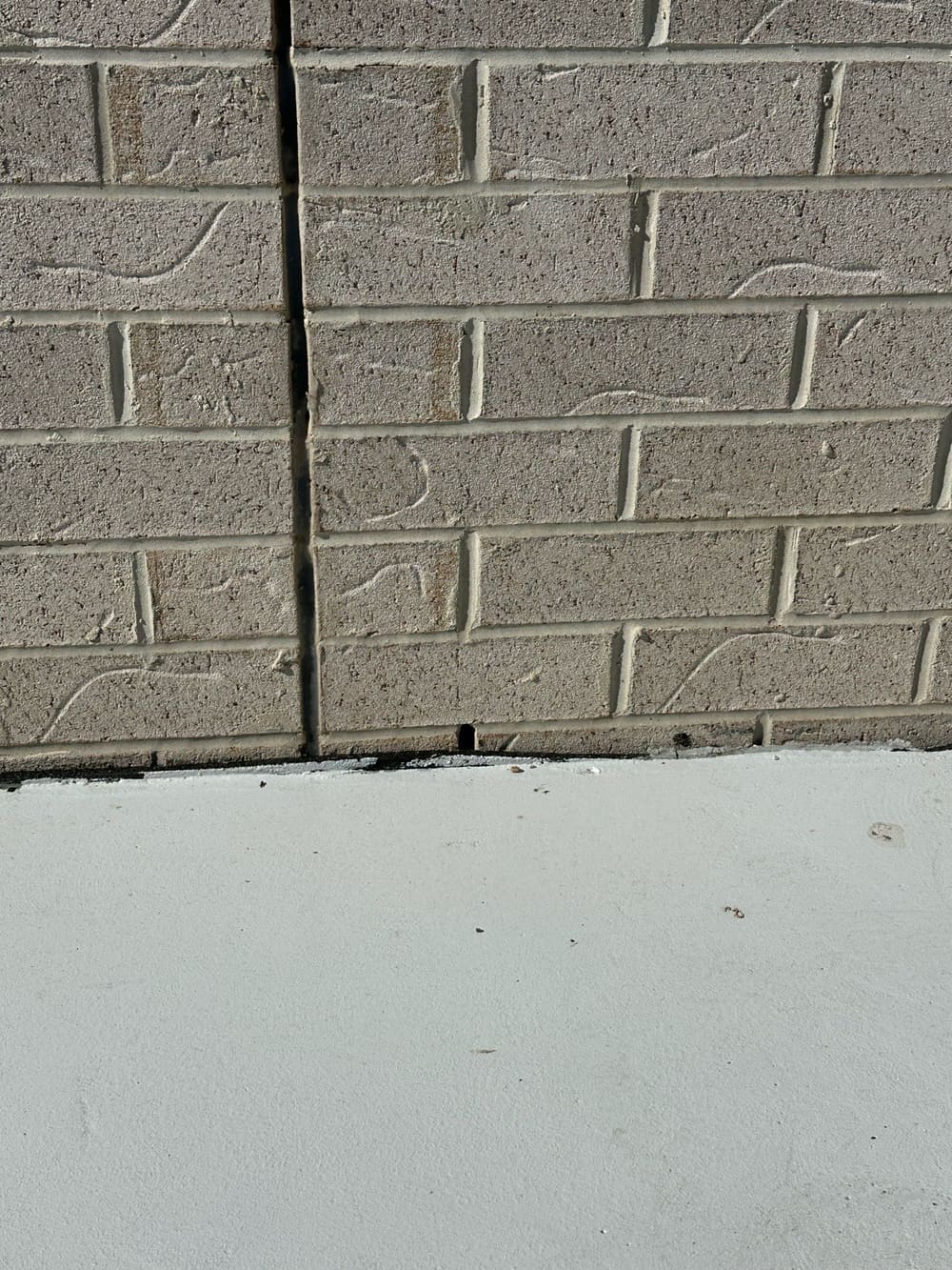 Concealed entry points, recorded during a building and pest inspection in Brassall