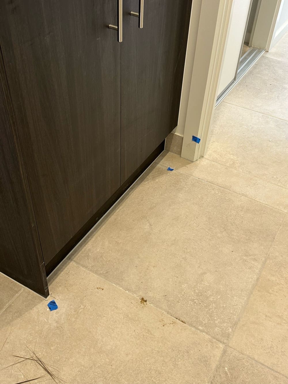 Laundry, recorded during a handover inspection in Greenbank